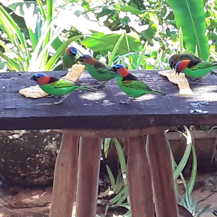 Pousada Ubatuba Do Alto Hotel Eksteriør billede