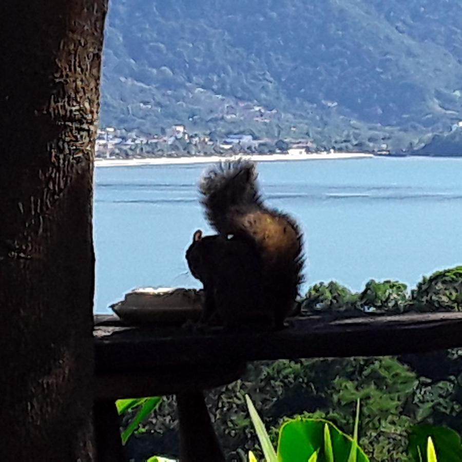 Pousada Ubatuba Do Alto Hotel Eksteriør billede